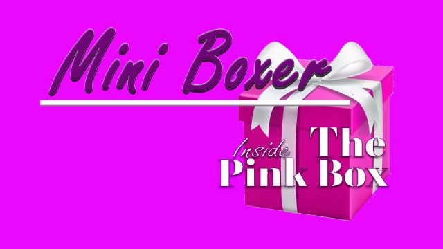 Inside The Pink Box Mini Boxer